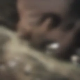 Diagram illustrating amplifier signal principles