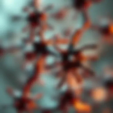 Notable Understanding Anti Neurofascin Antibody: Implications and Mechanisms