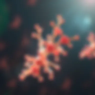 Understanding Anti Neurofascin Antibody: Implications and Mechanisms Summary