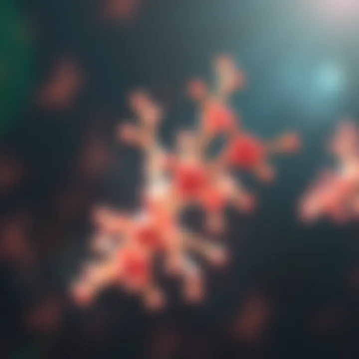Understanding Anti Neurofascin Antibody: Implications and Mechanisms Summary