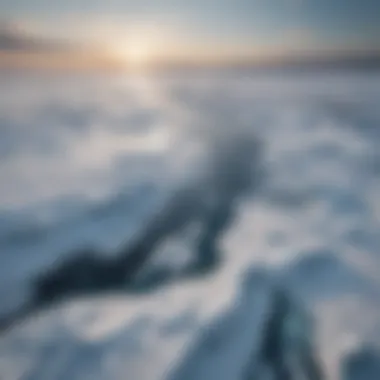 Aerial view of extensive Arctic ice fields