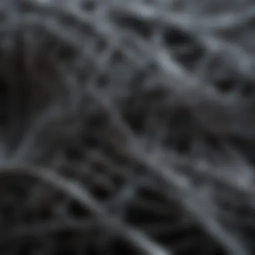 Close-up of carbon fibre strands demonstrating structure and texture