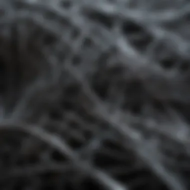 The Intricate Structure of Carbon Fibre Close-up of carbon fibre strands demonstrating structure and texture