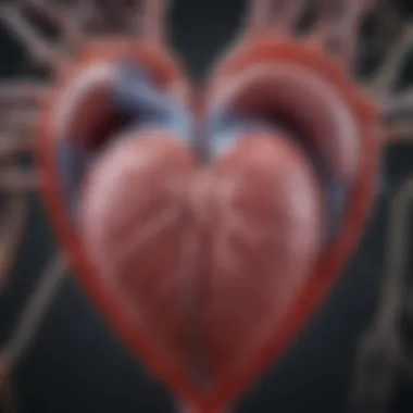 Depiction of amyloid fibrils affecting heart tissue