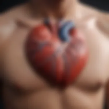 Visual representation of treatment options for cardiac amyloidosis
