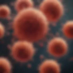 Microscopic view of B-lymphocytes in Chronic Lymphocytic Leukemia