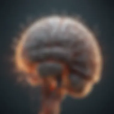 Cognitive Processes in the Brain Illustration depicting cognitive processes in the brain