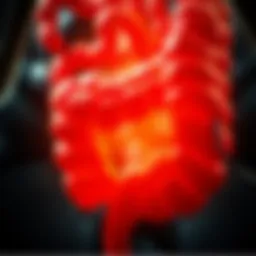Understanding Colitis Induced by Immunotherapy: An In-Depth Analysis Introduction