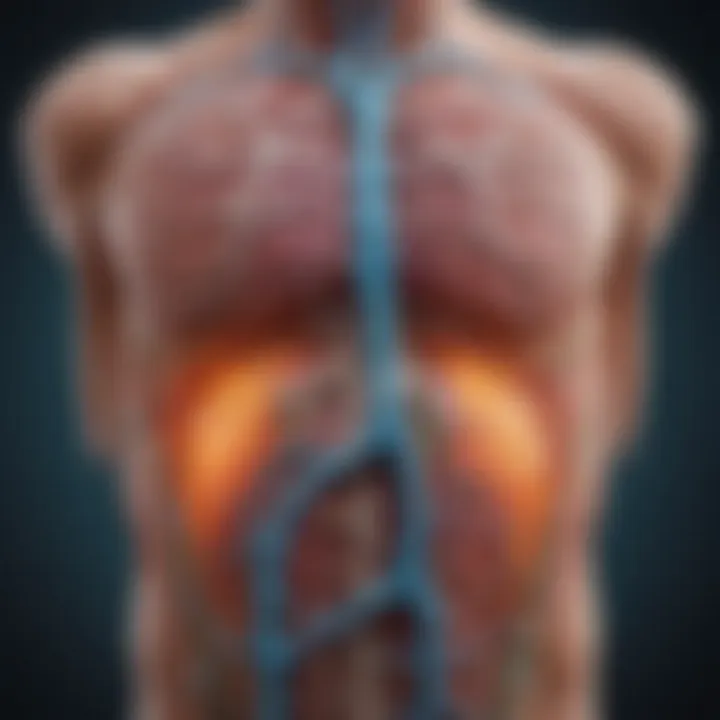 Diagram illustrating pathways of lymphatic metastasis