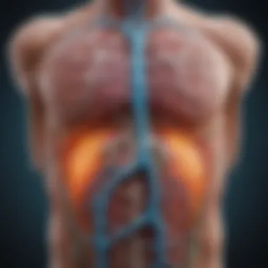 Lymphatic Pathways and Prostate Cancer Diagram illustrating pathways of lymphatic metastasis