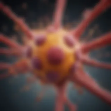 Immune Response and IgE Production Graph illustrating the immune response involving IgE production