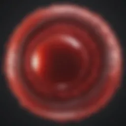 Illustration of red blood cell structure and function
