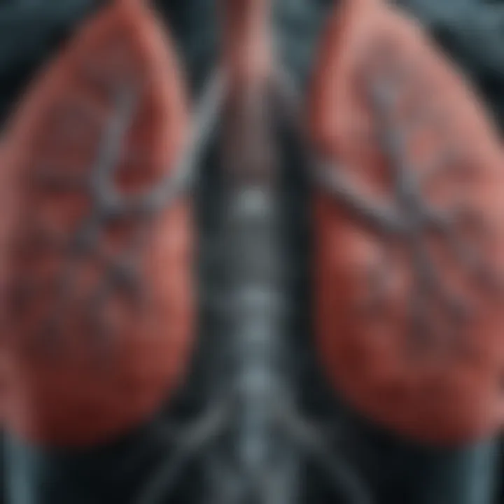 Comparison of normal lung and emphysematous lung