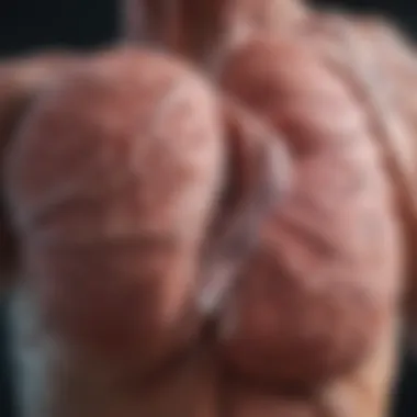 Understanding F3 Liver Fibrosis Treatment: Comprehensive Insights Introduction Understanding F3 Liver Fibrosis Treatment: Comprehensive Insights Introduction