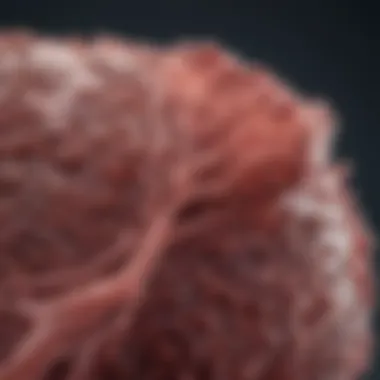 Understanding F3 Liver Fibrosis Treatment: Comprehensive Insights Summary
