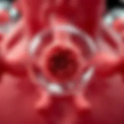 Understanding Ghrelin Hormone Suppression: Mechanisms and Implications Introduction