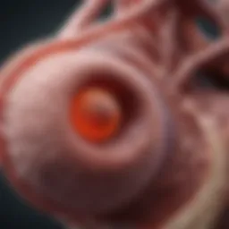 Pathophysiology of GVHD in the liver