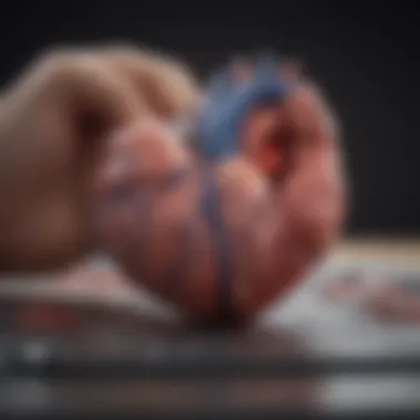 Echocardiography: A Method to Measure Ejection Fraction Diagram showing echocardiography procedure