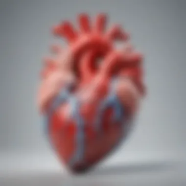 Heart Anatomy: The Role of the Left Ventricle in Ejection Fraction Illustration of heart anatomy highlighting the left ventricle