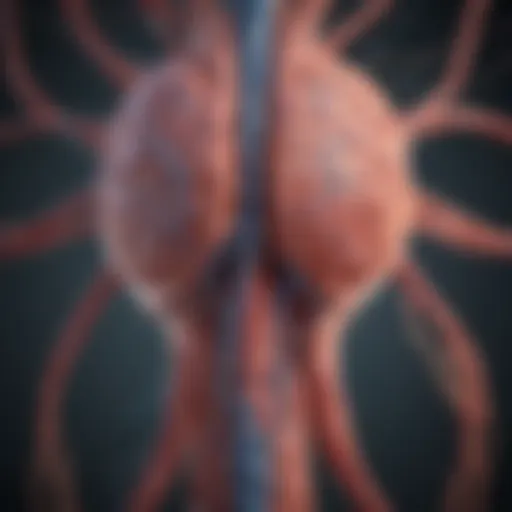 An illustration showcasing the neurological pathways affected by hemi paresis