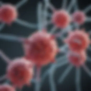 Structure of Monoclonal Antibodies Illustration depicting the structure of monoclonal antibodies