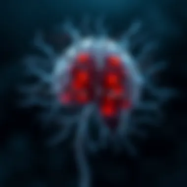 Understanding Hyperglycemic Seizures: Causes, Mechanisms, and Management Summary Understanding Hyperglycemic Seizures: Causes, Mechanisms, and Management Summary