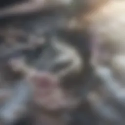 An illustration showing the physiological mechanisms of hyperhidrosis.