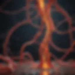 An artistic representation of inflammatory pathways in the body.