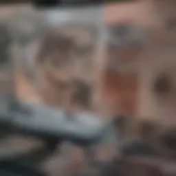 Histological slide of keratinizing squamous cell carcinoma