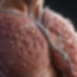 Graphical representation of lung cancer staging