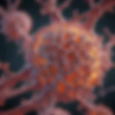 Notable Understanding LKB1 Protein: Structure, Function, and Implications in Disease Notable Understanding LKB1 Protein: Structure, Function, and Implications in Disease