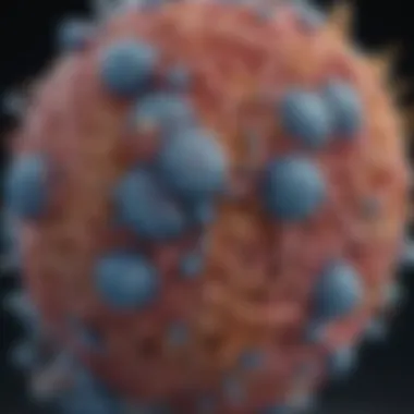 Understanding LKB1 Protein: Structure, Function, and Implications in Disease Summary Understanding LKB1 Protein: Structure, Function, and Implications in Disease Summary