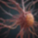 Neurological pathways affected by MSA