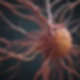Neurological pathways affected by MSA
