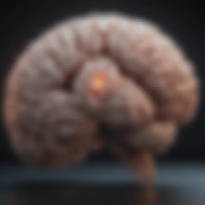 Brain imaging showcasing areas affected by Parkinson's disease