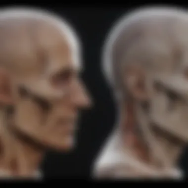 Side-by-side comparison of traditional and panoramic x-ray images