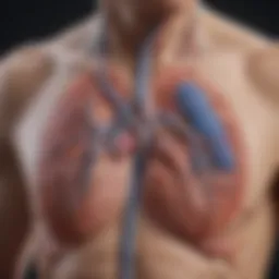 Diagram illustrating the anatomy of the pleural space