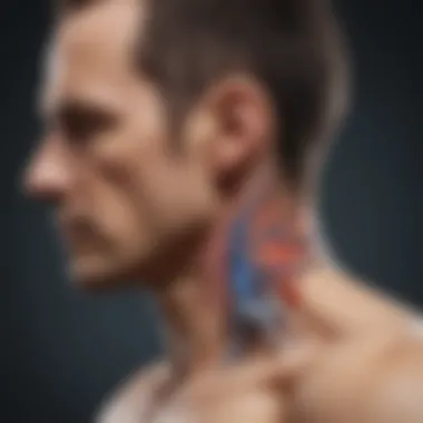 Physiological Mechanisms of Postural Hypotension Physiological mechanisms involved in postural hypotension