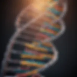 Diagram illustrating DNA structure and its role in transcription