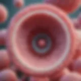 Detailed diagram of Trichomonas vaginalis structure