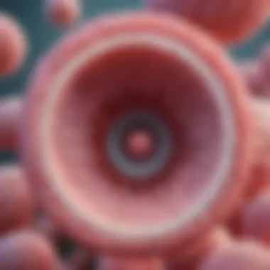 Detailed diagram of Trichomonas vaginalis structure