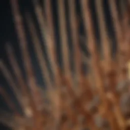 Diagram showing the structure of rods and cones in the retina