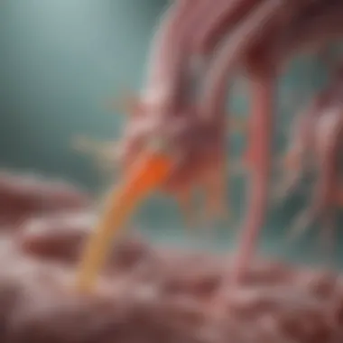 Cortisol Secretion Mechanisms Cortisol secretion in the adrenal gland