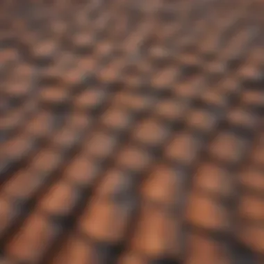 Recognizing Atypical Shingles Symptoms Illustration of shingles symptoms without rash