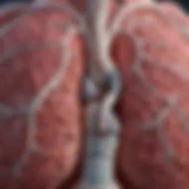Effects of Smoking on Lung Tissue An anatomical diagram illustrating the effects of smoking on lung tissue