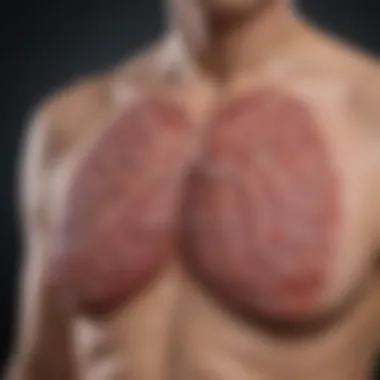 Understanding Stage 3 Lung Cancer: Survival Rates and Implications Summary Understanding Stage 3 Lung Cancer: Survival Rates and Implications Summary