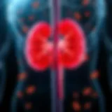 Visual representation of kidney function and stages of chronic kidney disease