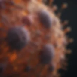Cellular structure of Acute Myeloid Leukemia