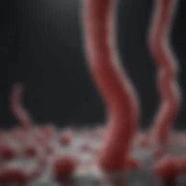 Risk Factors for Blood Clotting Graphic representation of risk factors associated with blood clotting
