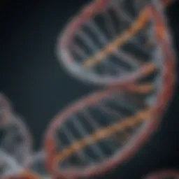 An artistic representation of DNA double helix structure.